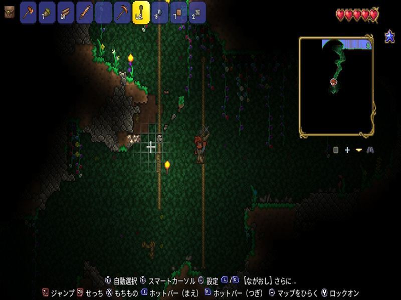 テラリア ロープ つかまり方