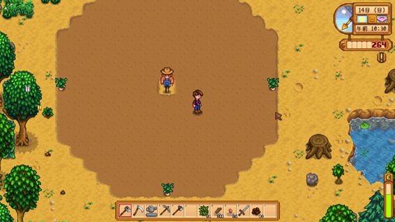 Stardew Valley カカシ 有効範囲
